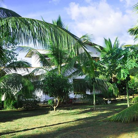 Готель Coconut Garden House Удавалаве Екстер'єр фото