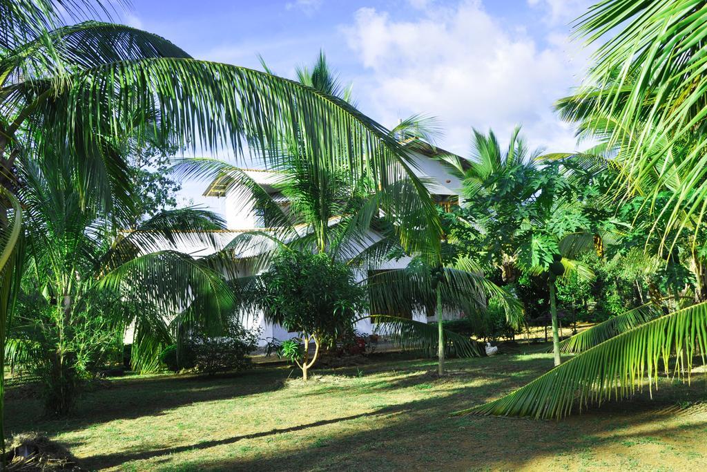 Готель Coconut Garden House Удавалаве Екстер'єр фото