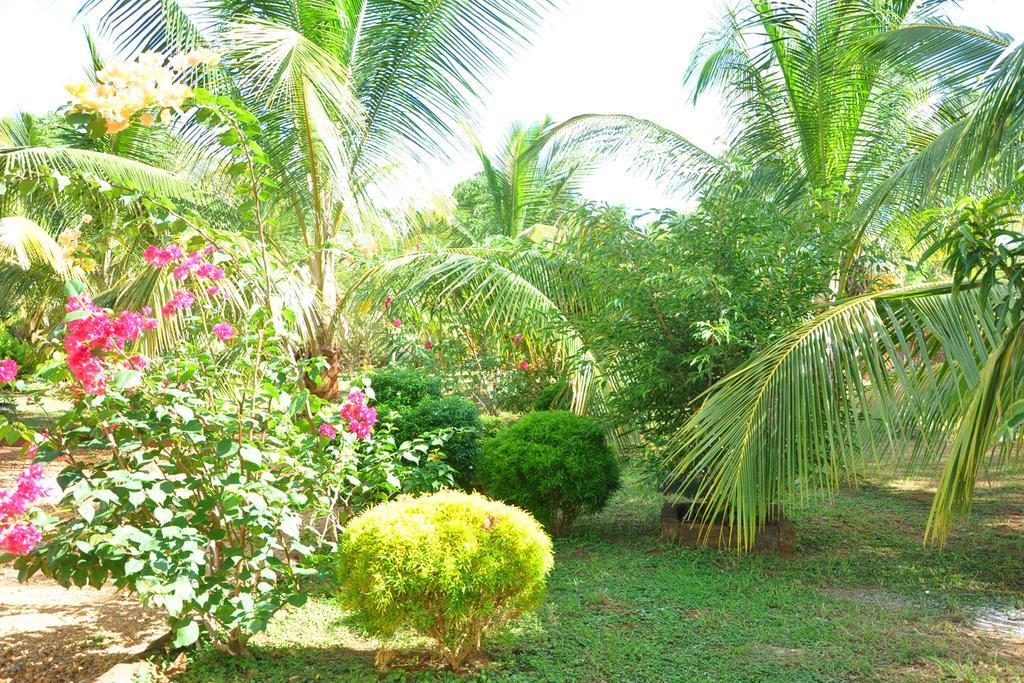 Готель Coconut Garden House Удавалаве Екстер'єр фото