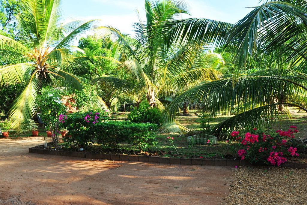 Готель Coconut Garden House Удавалаве Екстер'єр фото