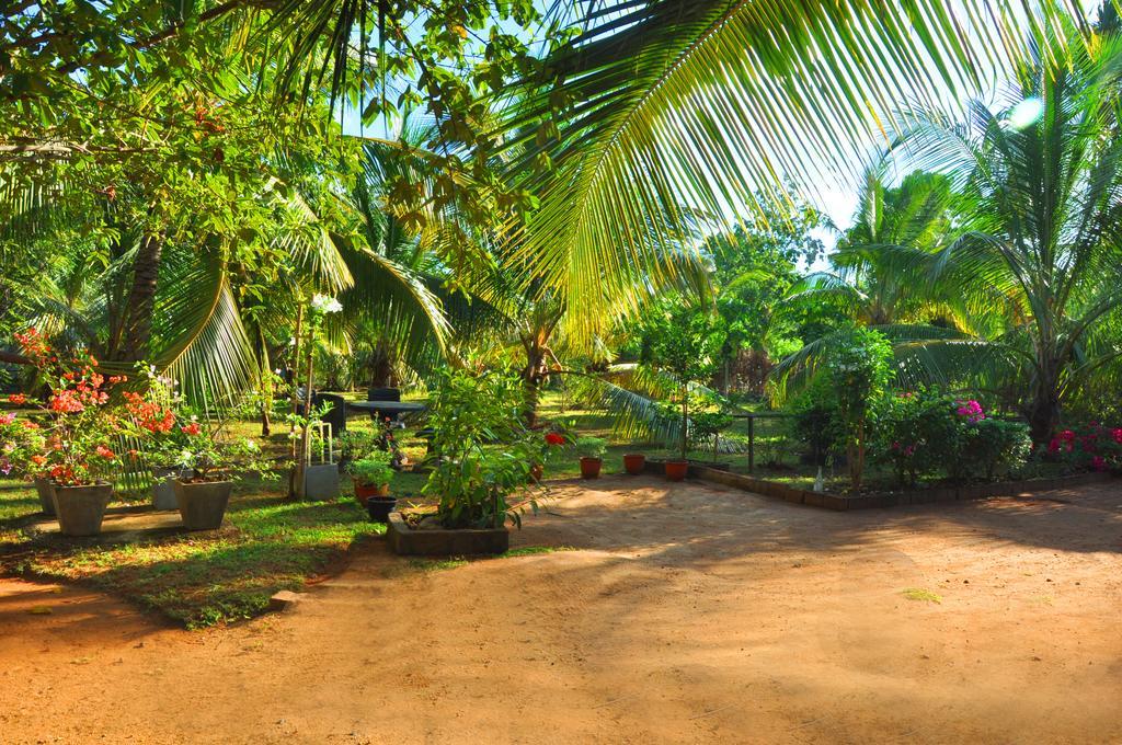 Готель Coconut Garden House Удавалаве Екстер'єр фото