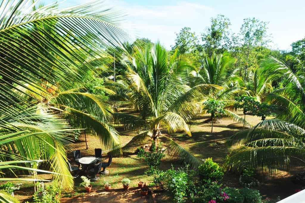 Готель Coconut Garden House Удавалаве Екстер'єр фото